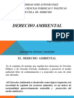 Copia de Presentación Derecho Ambiental