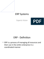 ERP Systems: Experts Vision