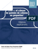 Cancer de Pulmon de Celulas No Pequeñas