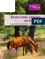 Rewilding Horses in Europe: Background and Guidelines - A Living Document