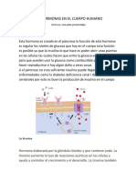 Las Hormonas en El Cuerpo Humano