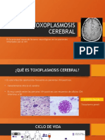 Toxoplasmosis Cerebral