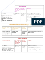 Resumen Vias Metabolicas Bioqui 2020