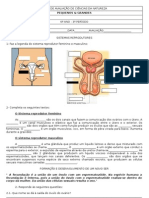 Teste 6º Ano - Sistema Reprodutor