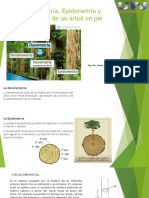 Dendometría y Cubicación de Arboles en Pie