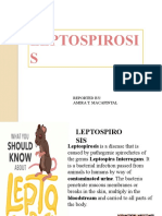 LEPTOSPIROSIS PowerPoint 