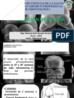 Formacion de La Cara