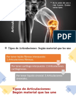 Sistema Articular