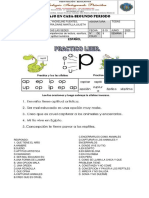 Grado 1°6s - P2