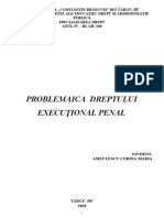 Problematica Dreptului Executional Penal