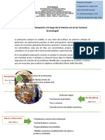 Desarrollo de La Planeación A Lo Largo de La Historia Con El Ser Humano