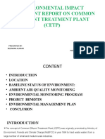 Environmental Impact Assessment Report On Common Effluent Treatment Plant (CETP)