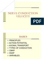 NCV PDF