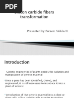 Silicon Carbide Fibers Transformation - pptx2