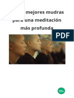 Los 11 Mejores Mudras para Una Meditación Más Profunda PDF