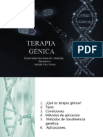 Terapia Genica