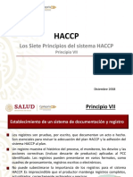 Principio Vii Haccp