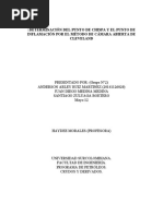 Determinación Del Punto de Chispa y El Punto de Inflamación Por El Método de Cámara Abierta de Cleveland