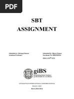 SBT Assignment