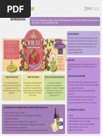 Información Del Lote de Producción PDF