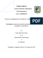 Investigación Relaciones Semánticas