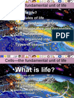 What Is Life? Molecules of Life Cell As Fundamental Unit Cell Membranes and Organelles Cell Metabolism Cells Organized Into Tissues Types of Tissues