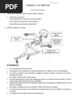 Aparato Locomotor