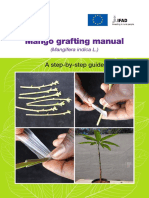 Mango Grafting Manual: A Step-By-Step Guide