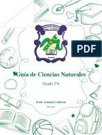 Guía de Ciencias Naturales-Fotosintesis