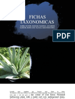 Ciencias Fichas Taxonomicas