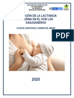 Lactancia Materna PDF