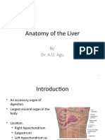 Anatomy of The Liver