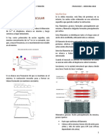 Contracción Muscular