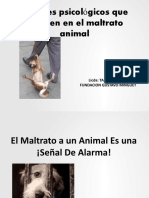 El Maltrato A Un Animal Es Una Señal de Alarma ¡