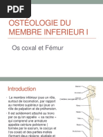 09 Anato1an Osteologie - MB - Inf Hamzaoui PDF