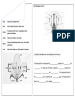 Structure and Function of Flower