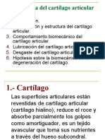 Biomecanica Del Cartilago Articular