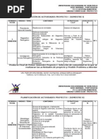 Planificacion Proyecto I, II Y III