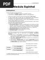 Neuroanatomia - Rita Luz PDF