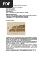Ventilación Natural y Artificial en Minas Subterráneas