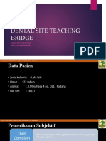 DST BRIDGE Rapi