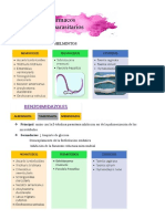 Fármacos Antiparasitarios: Antihelmínticos