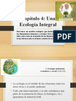 Laudato Si Capítulo 4