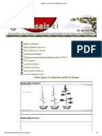 Manual El Arte Del Bonsai en Chile