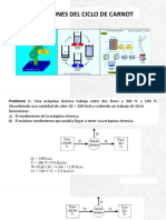 Ciclo Carnno - Problemas PDF