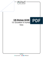 Summary Notes - Topic 13 Excretion in Humans - CIE Biology IGCSE