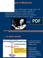 Central Dogma of Molecular Biology