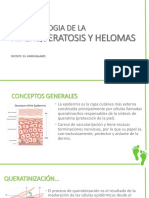 Clase 31 Fisiopatologia de La Hiperqueratosis y Helomas