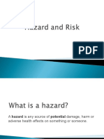 Hazard and Risk