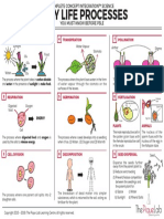 Photosynthesis 1 Pollination 7 Transpiration 4: CO2 CO2 CO2